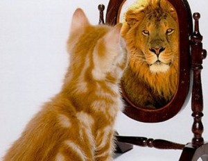 gato leao espelho 300x232 - Você sabe como melhorar o seu Marketing Pessoal? [Aprenda aqui]